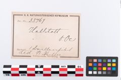 Etikett zu Bronzebrillenfibel (NHMW-PRAE-035767)